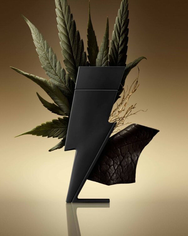 Carolina Herrera Bad Boy parfüüm