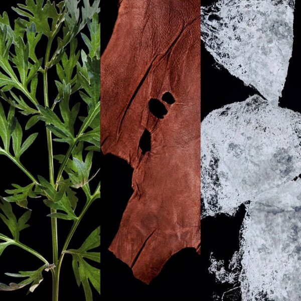 Carolina Herrera Bad Boy Cobalt parfüüm